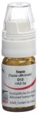 OMIDA sepia glob 12 D a doseur 4 g