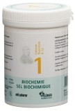 PFLÜGER SCHÜSSLER Nr1 Calc fluo Tabl D 12 250 g