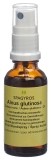 SPAGYROS GEMMO Alnus glutinosa macérat de glycérine D1, 30 ml