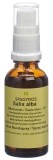 SPAGYROS GEMMO Salix alba Glycerinmazerat D1, 30 ml
