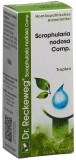 RECKEWEG R17 Scrophularia nod Comp. Tropfen 50 ml