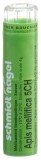 SN Apis mellifica Gran CH 5 4 g