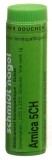 SN Arnica Glob CH 5 1 g