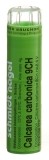 SN Calcarea carbonica Gran CH 9 4 g