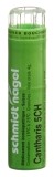 SN Cantharis Gran CH 5 4 g