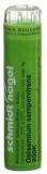 SN gelsemium sempervirens gran 200 K 4 g