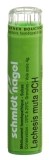 SN Lachesis muta Gran CH 9 4 g