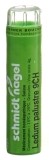 SN ledum palustre gran 9 CH 4 g