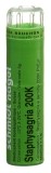 SN Staphysagria Gran 200 K 4 g