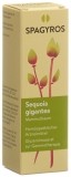 SPAGYROS GEMMO Sequoia gigantea Glyzerol Mazerat D4, 30 ml