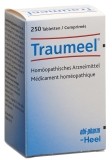 TRAUMEEL Tabletten, 250 Stück