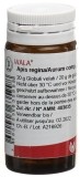 WALA Apis regina/Aurum comp Glob 20 g
