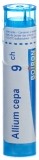 BOIRON Allium cepa Gran CH 9 4 g
