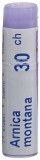BOIRON arnica montana glob 30 CH 1 dos