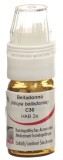 OMIDA belladonna globules C30 avec doseur, 4 g