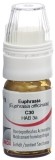 OMIDA Euphrasia Globuli  C30 mit Dosierhilfe, 4 g