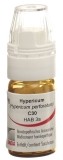 OMIDA hypericum globules C30 avec doseur, 4 g