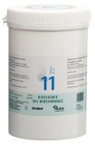 PFLÜGER SCHÜSSLER Nr11 Silicea Tabl D 12 1000 g