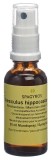 SPAGYROS GEMMO Aesculus hippocastanum macérat de glycérine D1, 30 ml