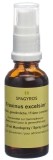 SPAGYROS GEMMO Fraxinus excelsior macérat de glycérine D1, 30 ml