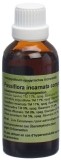 SPAGYROS Passiflora incarnata complex Urtinktur, 50 ml