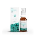 SPENGLER Virus influencae A comp Spray D13, 20 ml
