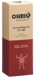 OSIRIS CBD Aromapflegeöl Gelenkwohl, 100 ml