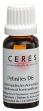 CERES Petasites D6 Dilution, 20 ml