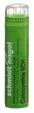 SN colocynthis gran 5 CH 4 g