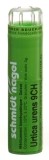SN urtica urens gran 9 CH 4 g