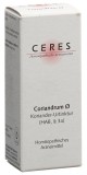 CERES Coriandrum Urtinktur, 20 ml