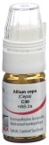 OMIDA Allium cepa Glob C 30 m Dosierhilfe 4 g