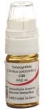 OMIDA Colocynthis Glob C 30 m Dosierhilfe 4 g