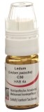 OMIDA ledum globules C30 avec doseur, 4 g
