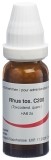 OMIDA Rhus toxicodendron Glob C 200 14 g