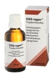 OSS-REGEN gouttes 50 ml
