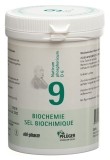 PFLÜGER SCHÜSSLER Nr9 Natr phos Tabl D 6 250 g