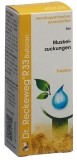 RECKEWEG R33 Buforan Tropfen Fl 50 ml