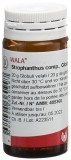 WALA Strophanthus comp Globuli, 20 g