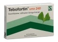 TEBOFORTIN Uno Filmtabletten 240 mg, 40 Stück