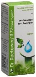 RECKEWEG R72 Pankropatin gouttes 50 ml