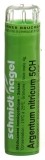 SN argentum nitricum gran 5 CH 4 g