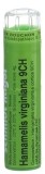 SN Hamamellis virginiana Gran CH 9 4 g