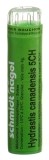 SN hydrastis canadensis gran 5 CH 4 g