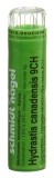 SN hydrastis canadensis gran 9 CH 4 g
