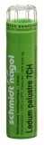 SN ledum palustre gran 7 CH 4 g