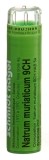 SN Natrum muriaticum Gran CH 9 4 g