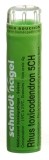 SN Rhus Toxicodendron Gran CH 5 4 g