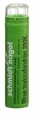 SN Rhus Toxicodendron Gran 200 K 4 g