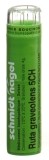 SN Ruta graveolens Gran CH 5 4 g